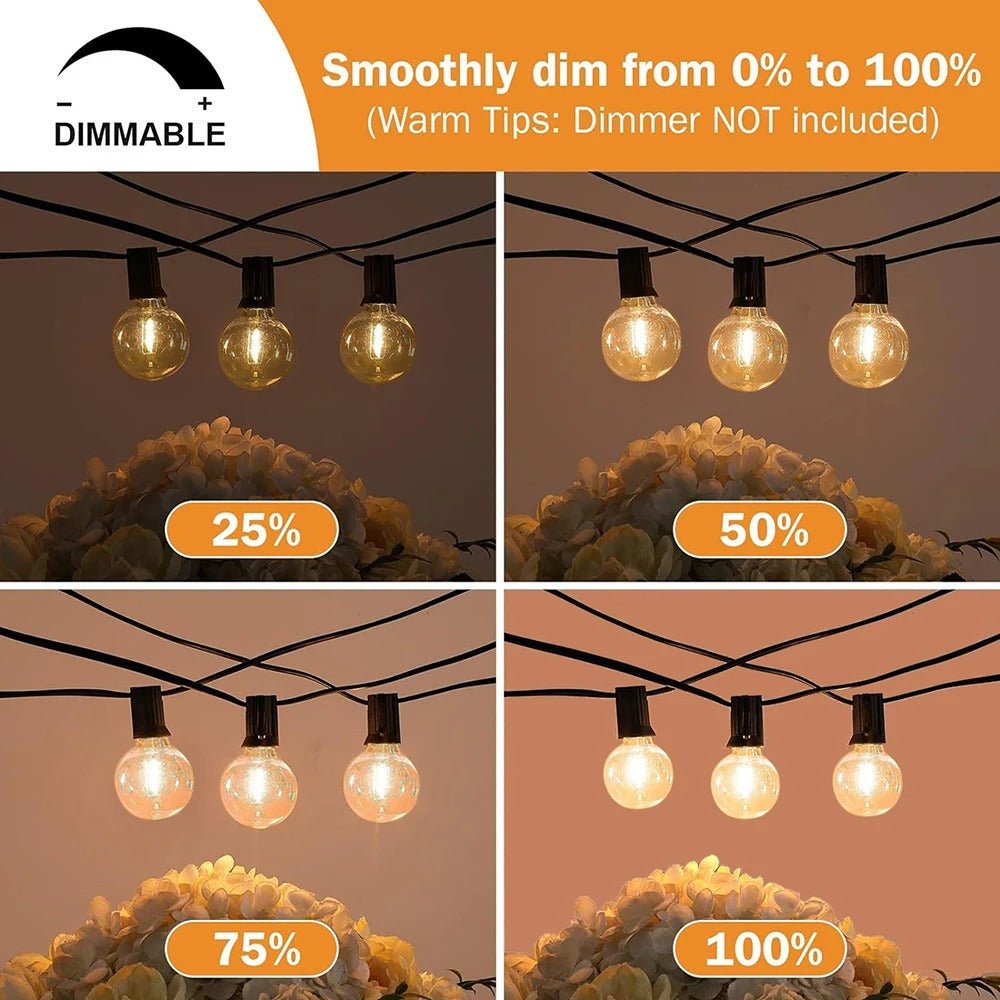 Guirlande-lumineuse-Ambiance-Festive-Intensité
