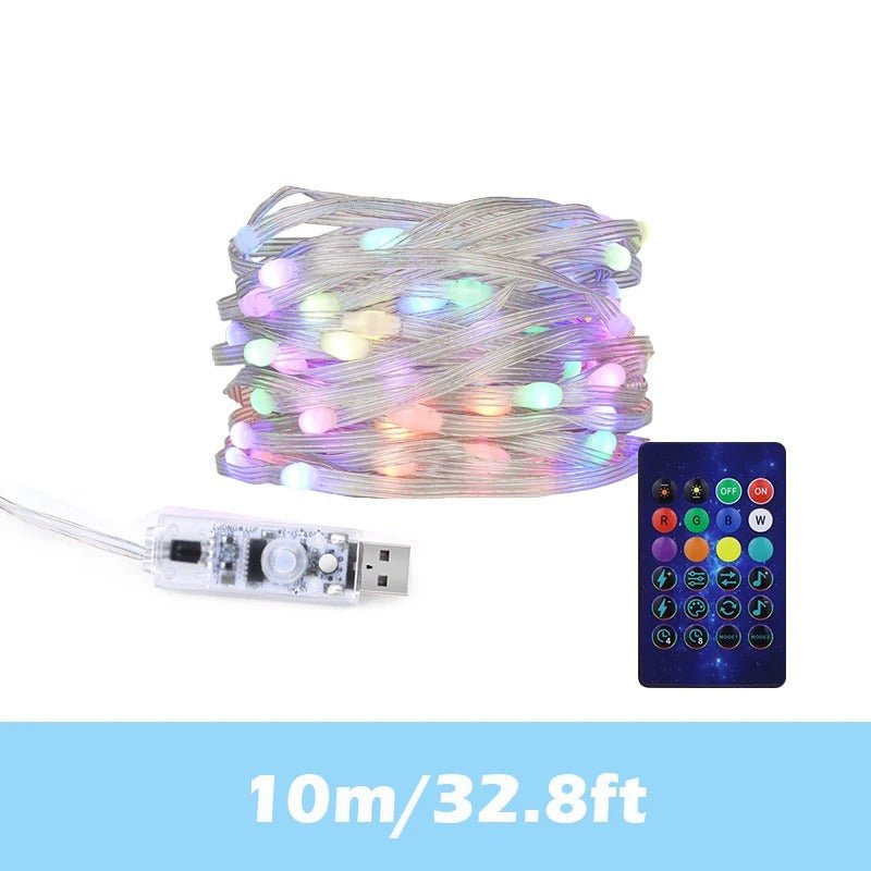 guirlande lumineuse MagicColor 10m