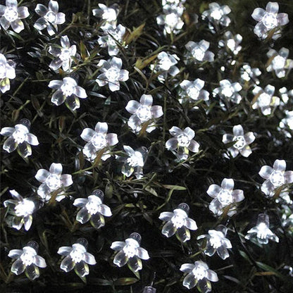Guirlande Lumineuse - LedCherryLights™ - Blanc